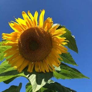 Meet your Posher, Kathryn